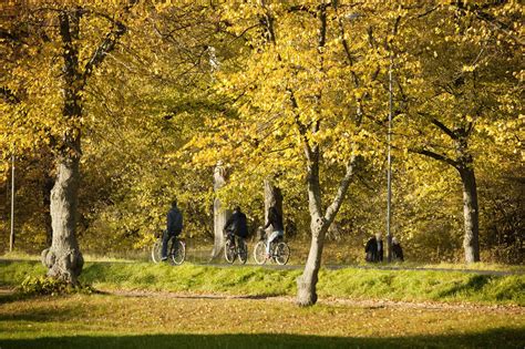 vad händer i stockholm|Events in Stockholm